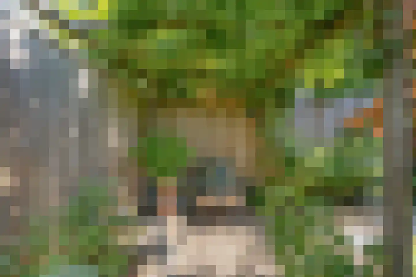 Ambachtsweg 46 Heiloo thumbnail 34