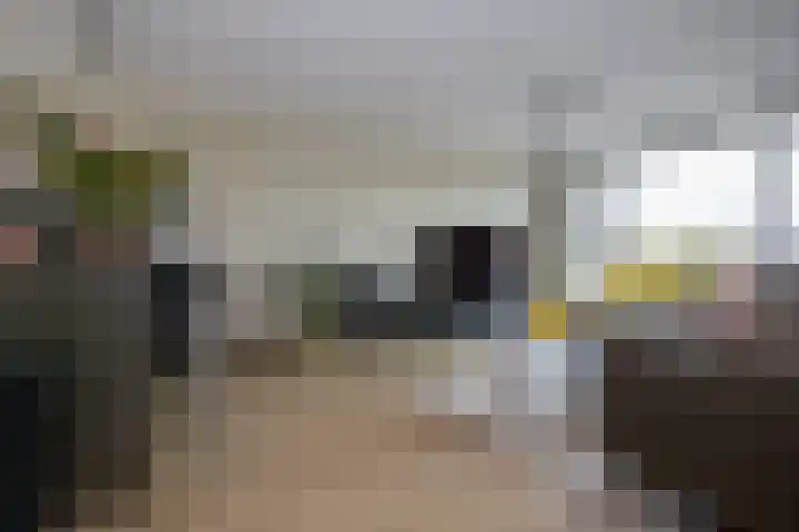 Ambachtsweg 46 Velserbroek thumbnail 26