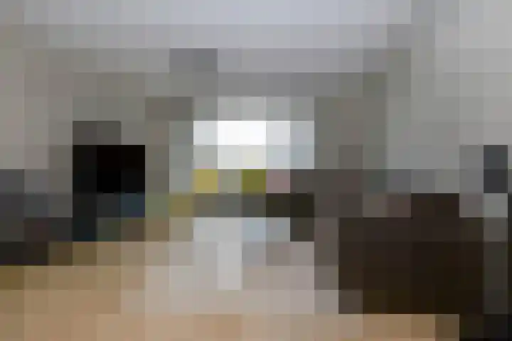 Ambachtsweg 46 Velserbroek thumbnail 27