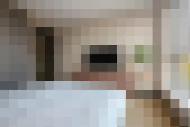 Ambachtsweg 46 Velserbroek thumbnail 41