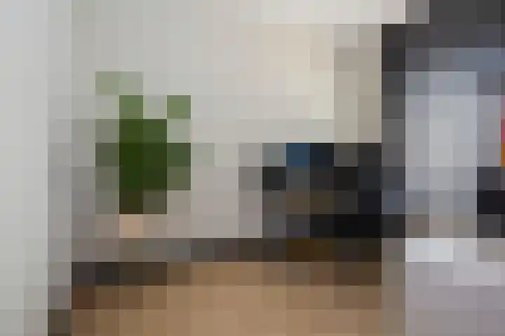 Ambachtsweg 46 Velserbroek thumbnail 47