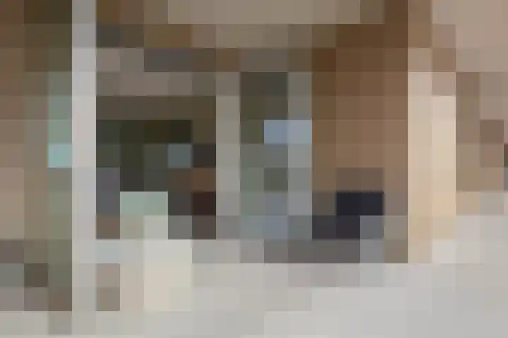 Ambachtsweg 46 Velserbroek thumbnail 6