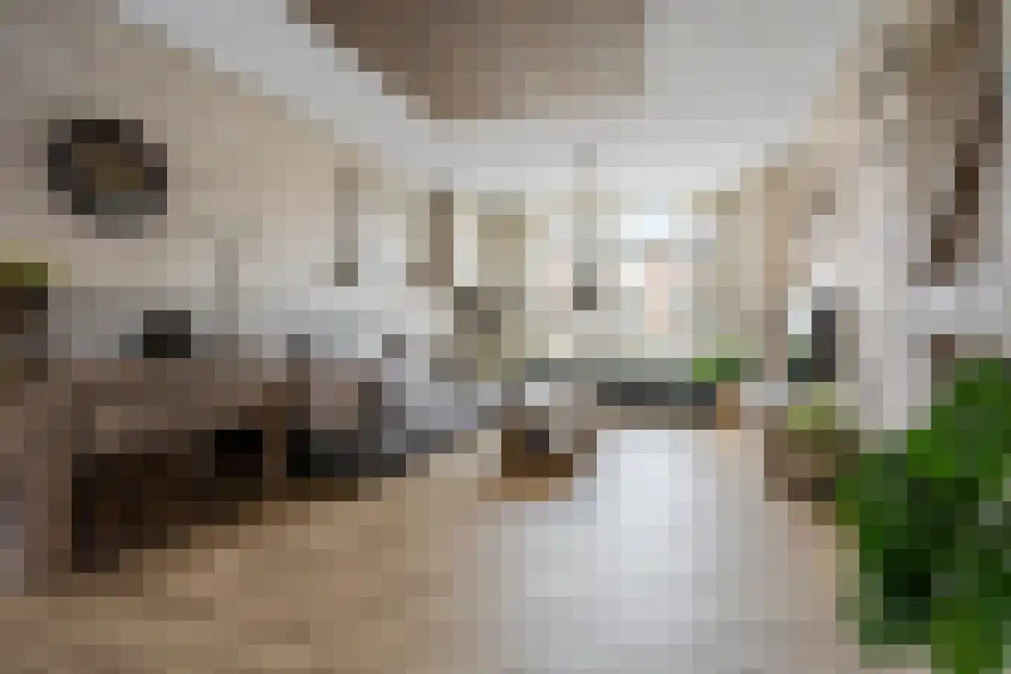 Ambachtsweg 46 Wateringen thumbnail 4