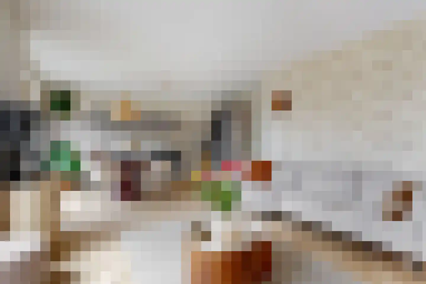 Ambachtsweg 60 b Heiloo thumbnail 12
