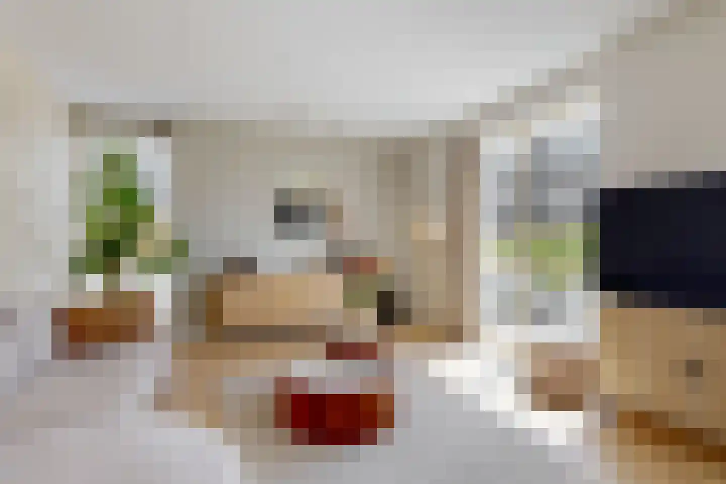 Ambachtsweg 60 b Heiloo thumbnail 17
