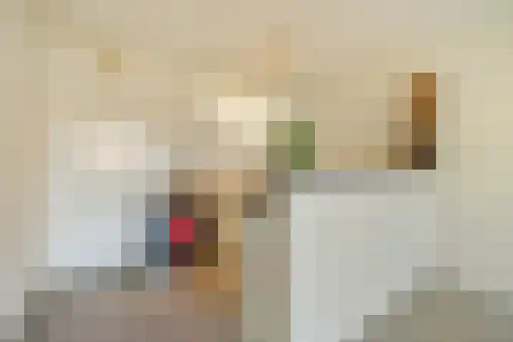Ambachtsweg 60 Huizen thumbnail 5