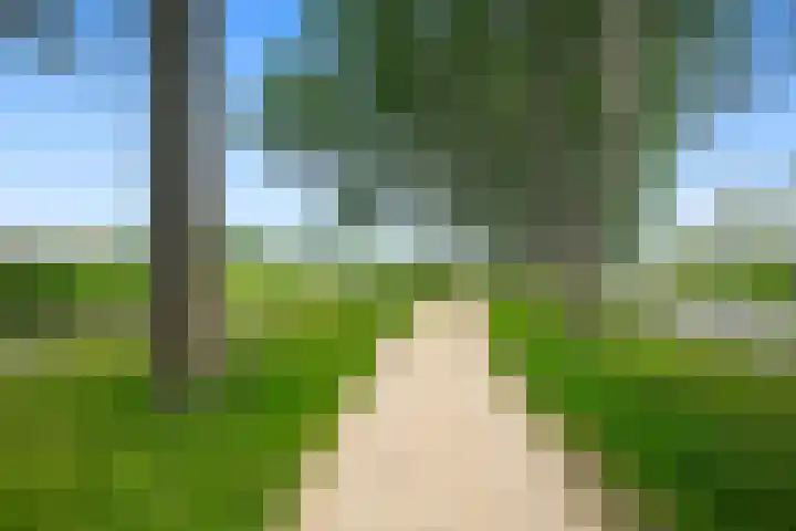 Ambachtsweg 61 Heiloo thumbnail 34