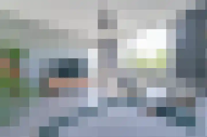 Ambachtsweg 62 Huizen thumbnail 4