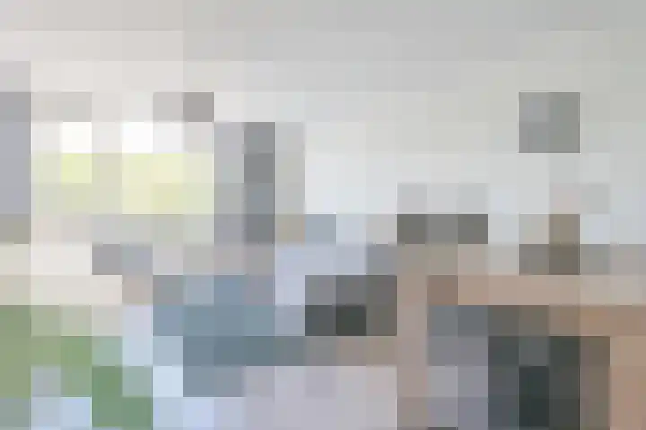 Ambachtsweg 62 Huizen thumbnail 7