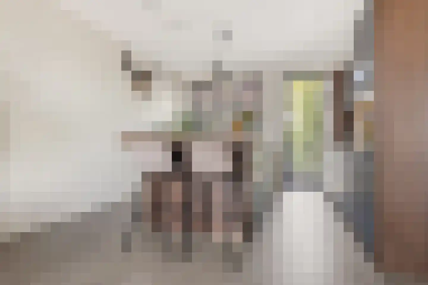Ambachtsweg 64 c Heiloo thumbnail 8
