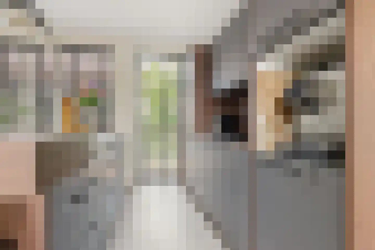 Ambachtsweg 64 c Heiloo thumbnail 9