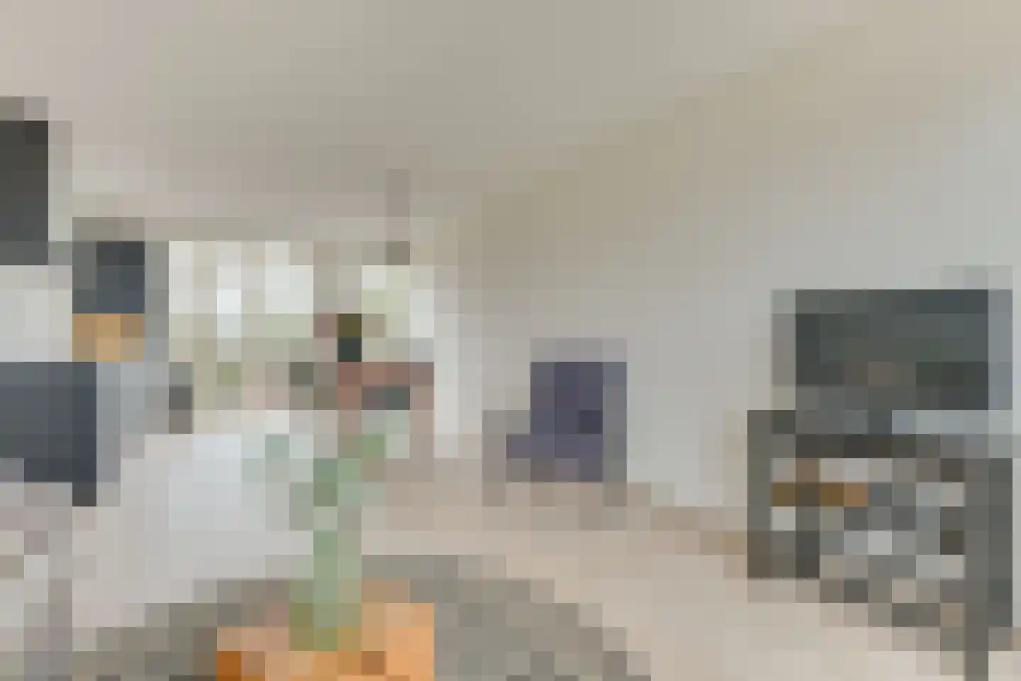 Ambachtsweg 64 d Heiloo thumbnail 14