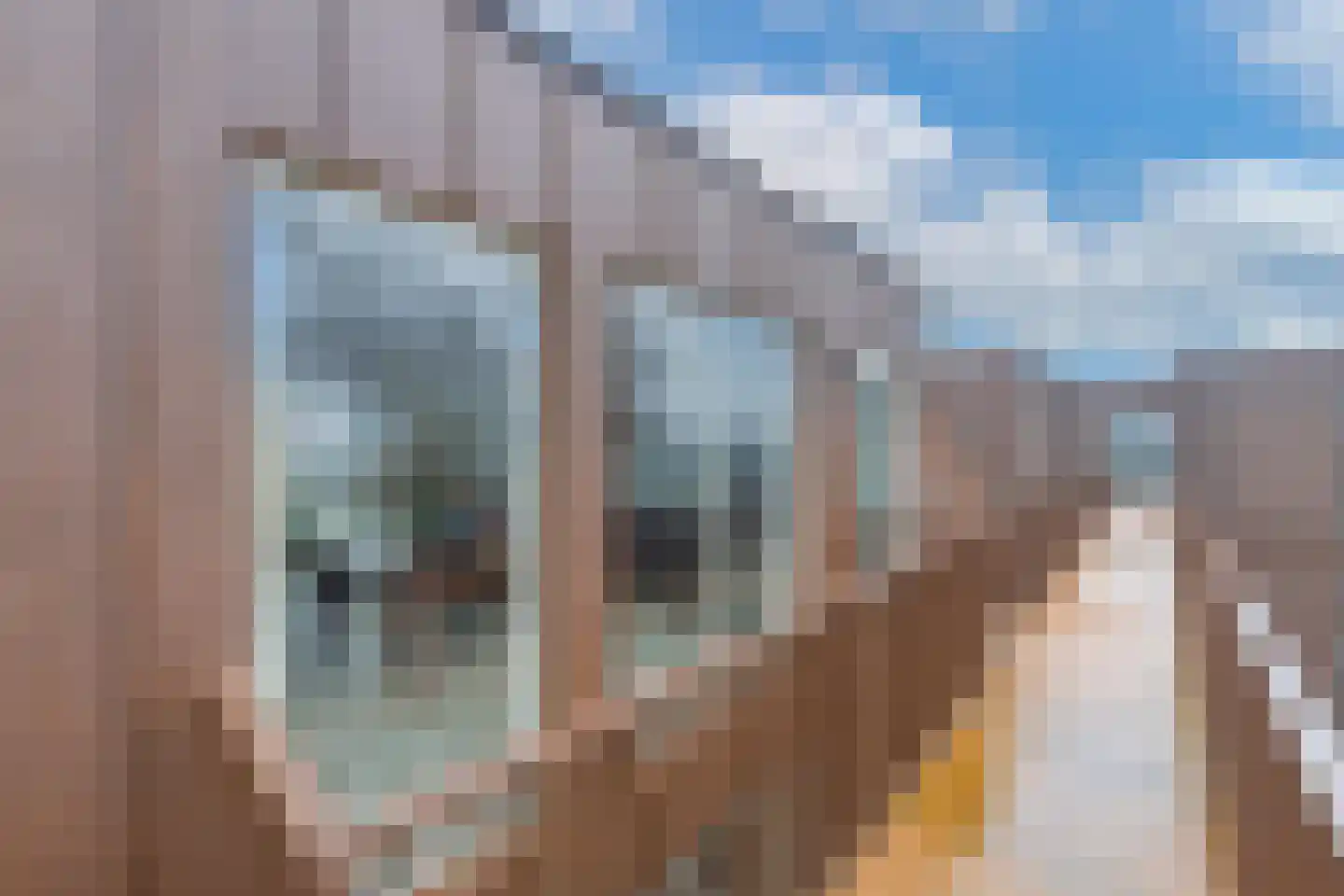 Ambachtsweg 64 d Heiloo thumbnail 7