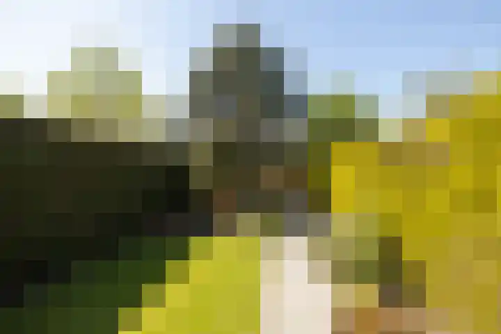 Ambachtsweg 80 Wateringen thumbnail 20
