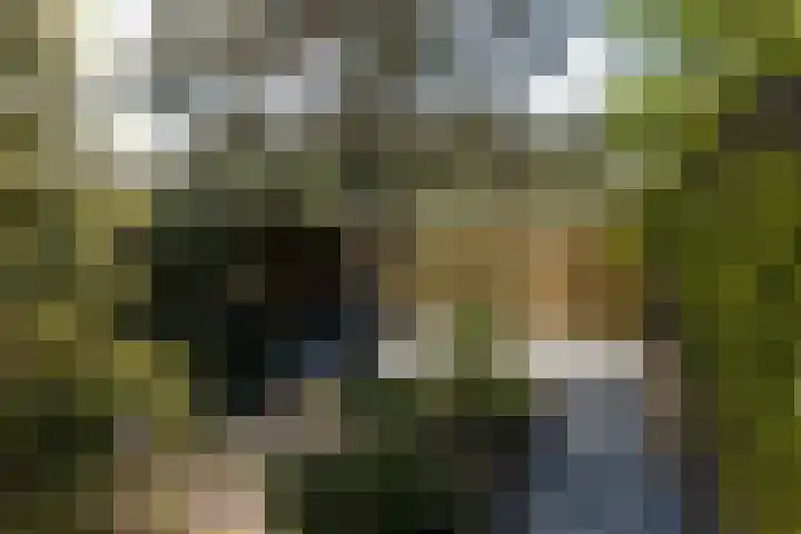 Ambachtsweg 80 Wateringen thumbnail 21