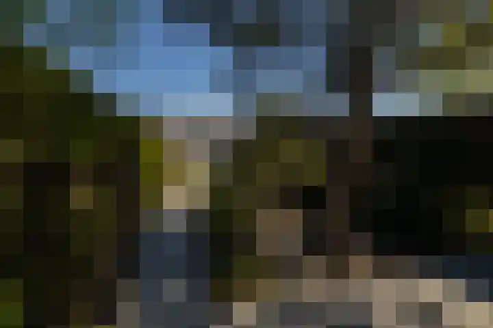 Ambachtsweg 80 Wateringen thumbnail 22