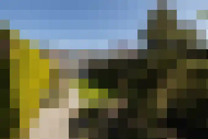 Ambachtsweg 80 Wateringen thumbnail 23