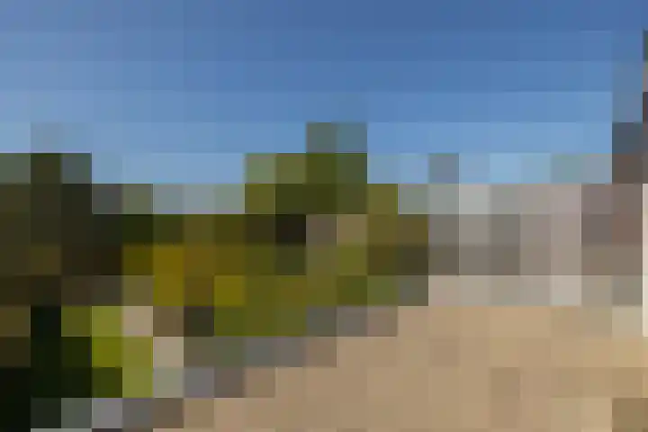 Ambachtsweg 80 Wateringen thumbnail 38