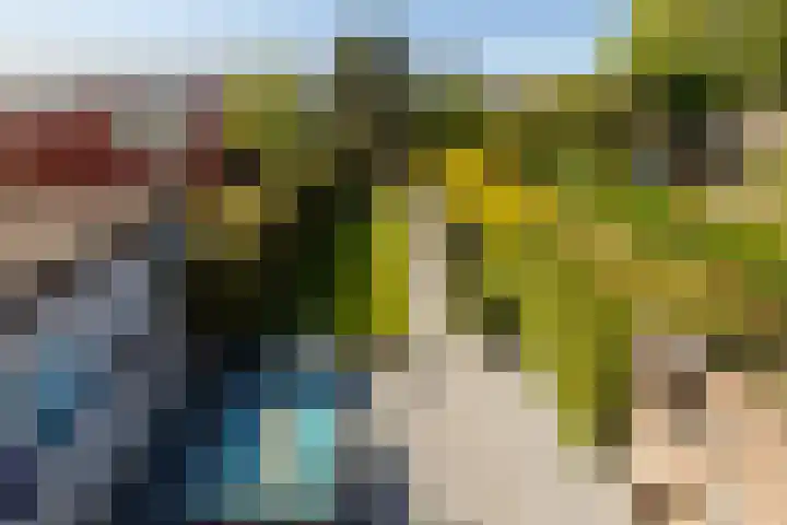 Ambachtsweg 80 Wateringen thumbnail 39