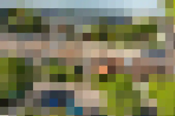 Ambachtsweg 80 Wateringen thumbnail 4