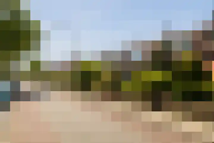Ambachtsweg 80 Wateringen thumbnail 40
