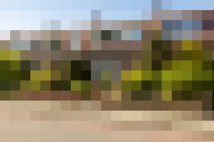 Ambachtsweg 80 Wateringen thumbnail 42