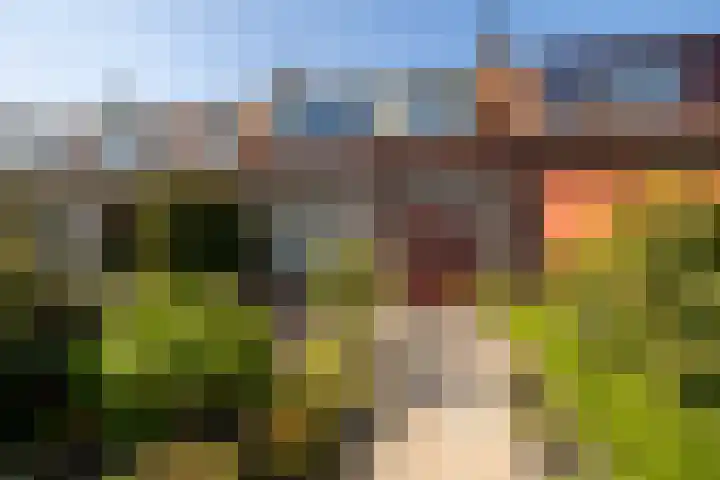 Ambachtsweg 80 Wateringen thumbnail 6