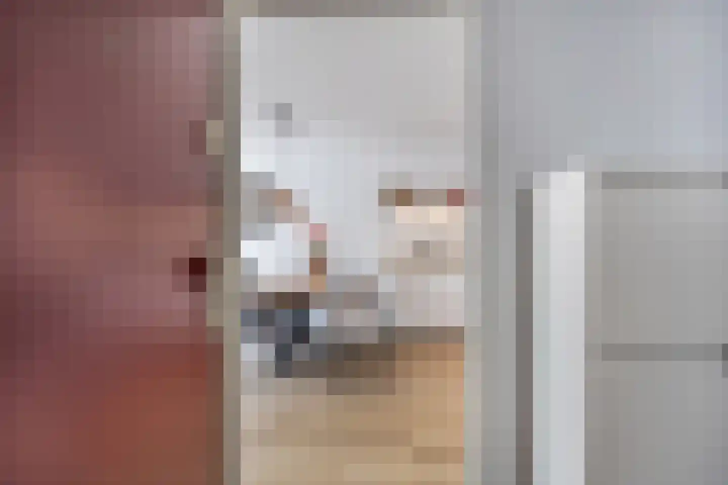 Ambachtsweg 82 Huizen thumbnail 6