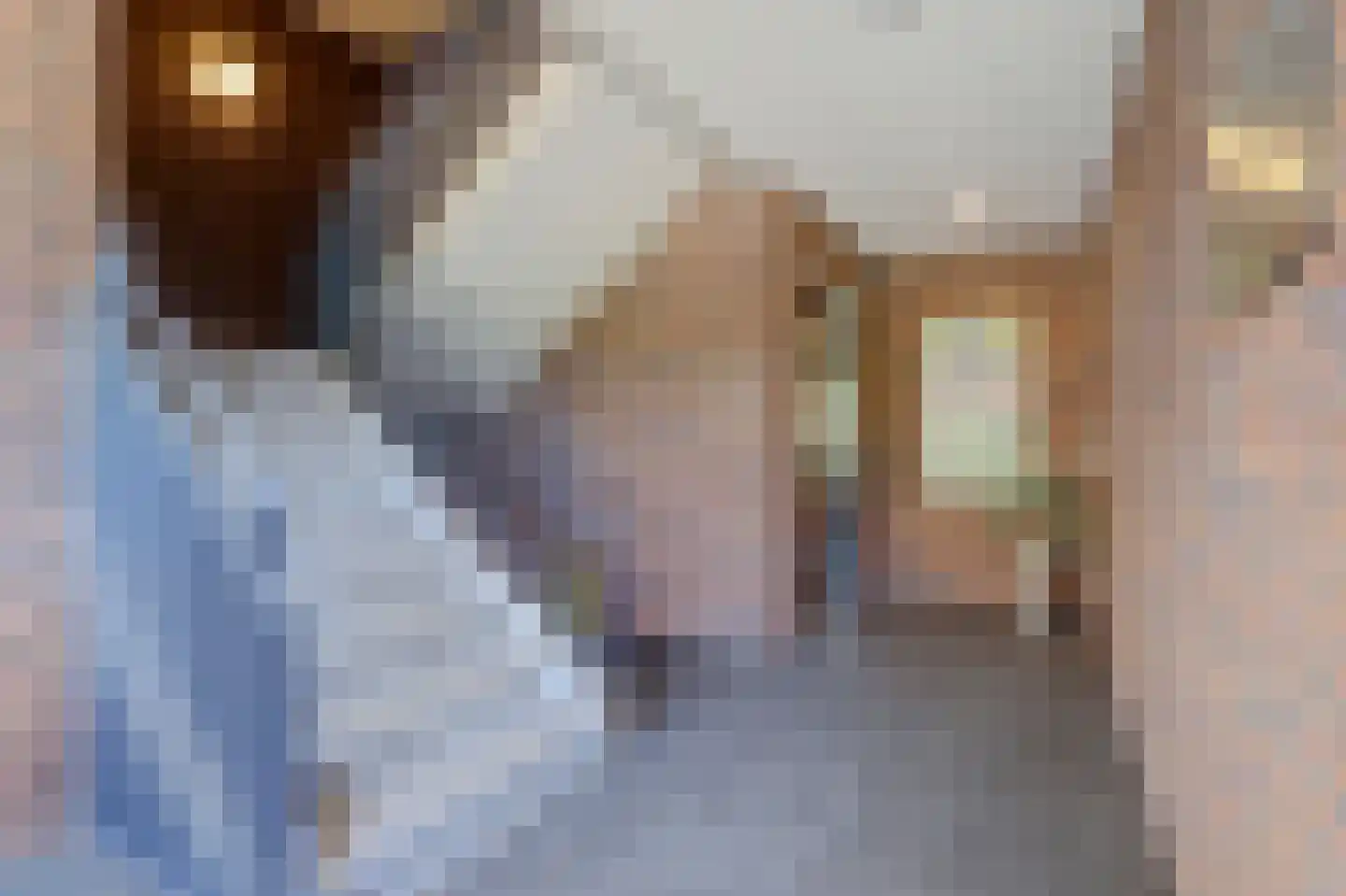 Ambachtswerf 3 De Lier thumbnail 23