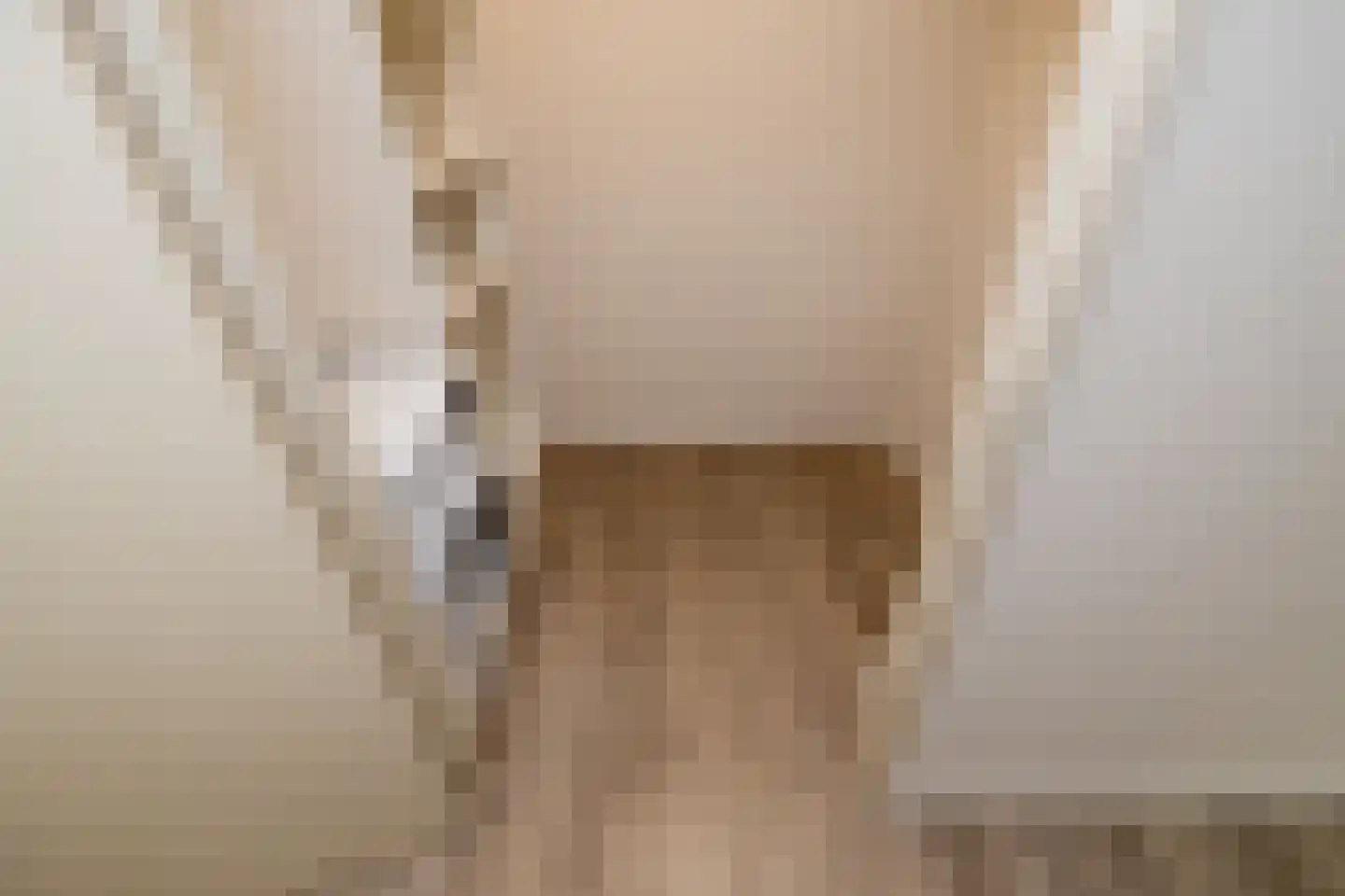 Ambachtswerf 4 De Lier thumbnail 25