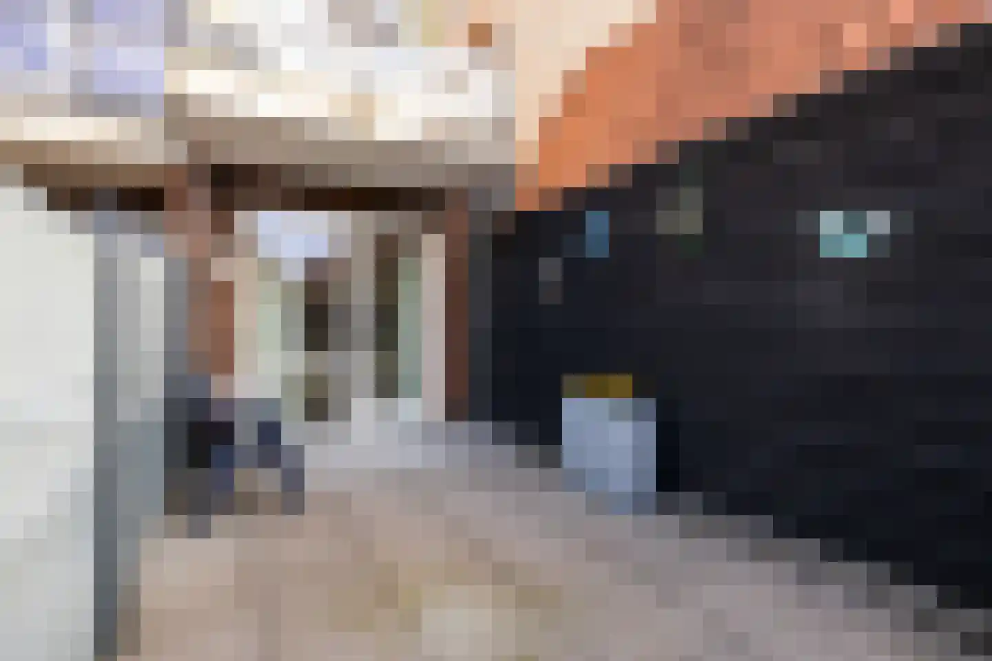Ambachtswerf 4 De Lier thumbnail 28