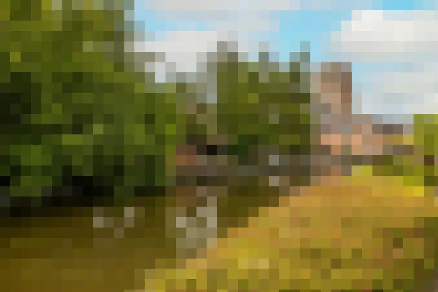 Ambachtswerf 4 De Lier thumbnail 41