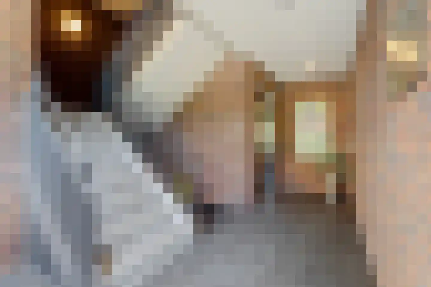 Ambachtswerf 5 De Lier thumbnail 21