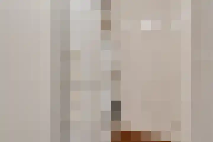 Ambachtswerf 6 De Lier thumbnail 23