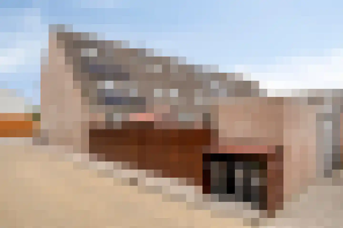 Ambachtweg 44 Schiedam thumbnail 30