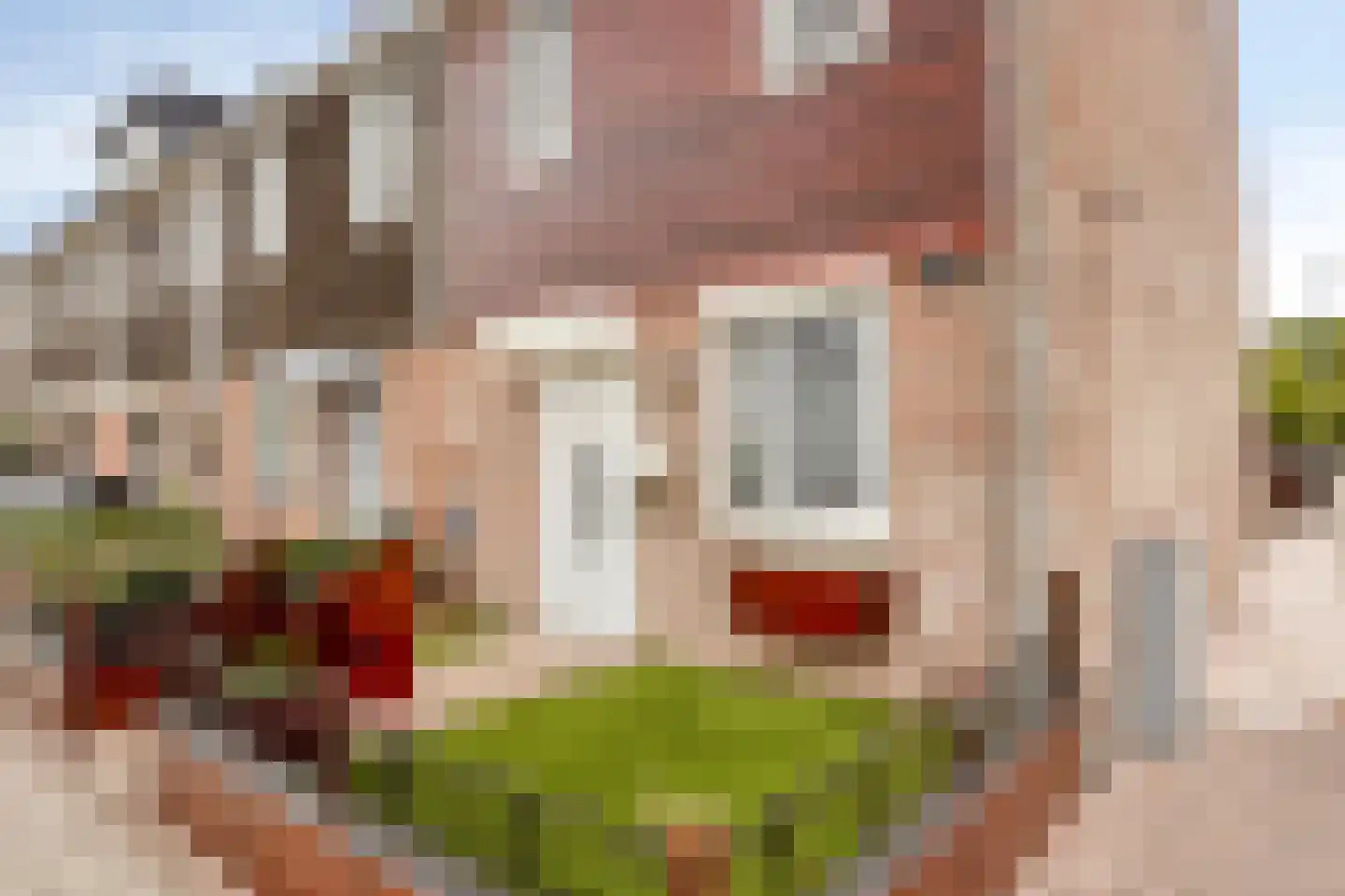 Ambachtweg 44 Schiedam thumbnail 5