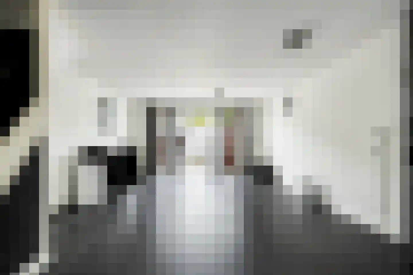 Ambachtweg 44 Schiedam thumbnail 8