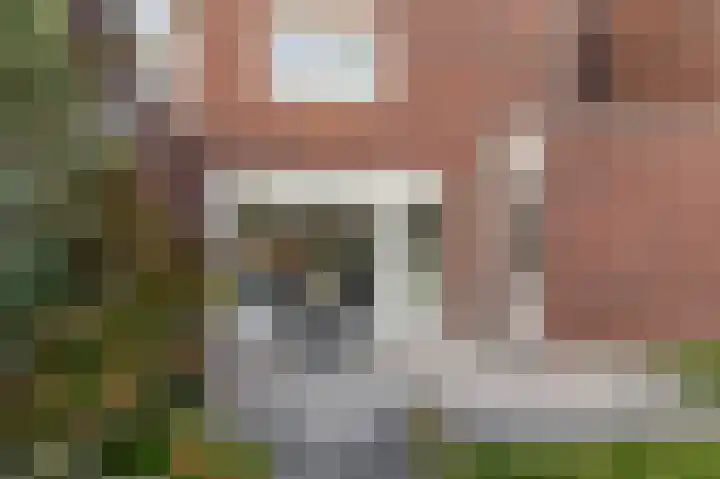 Amber 24 Venlo thumbnail 11