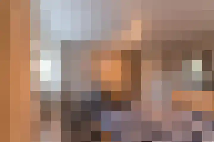 Amber 24 Venlo thumbnail 17