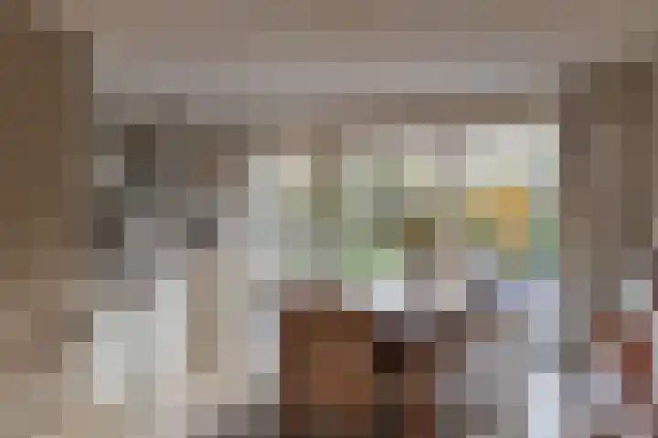 Amber 24 Venlo thumbnail 8