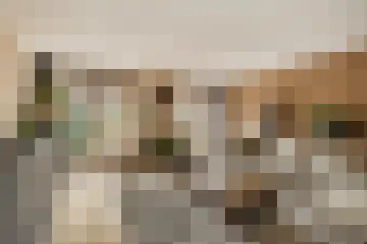 Amberhof 20 Rhoon thumbnail 10