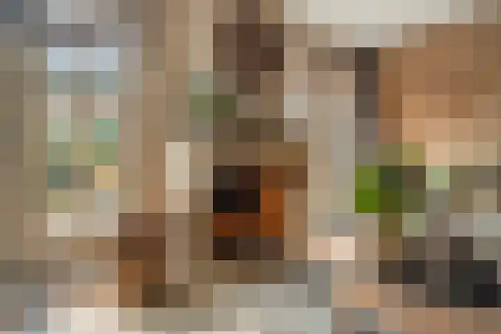 Amberhof 20 Rhoon thumbnail 12