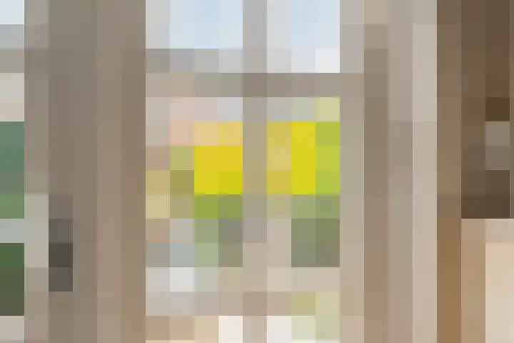 Amberhof 20 Rhoon thumbnail 14