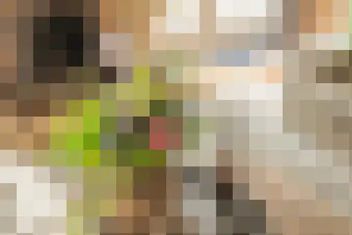 Amberhof 20 Rhoon thumbnail 15