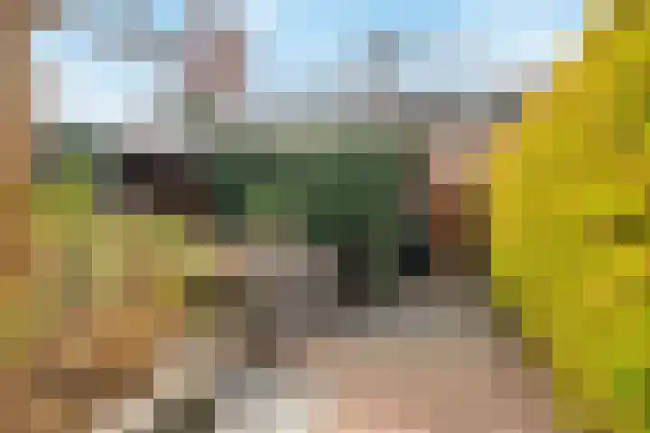 Amberhof 20 Rhoon thumbnail 33