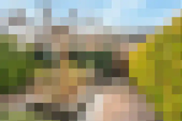 Amberhof 20 Rhoon thumbnail 34