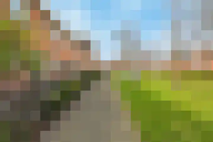 Amberhof 20 Rhoon thumbnail 38