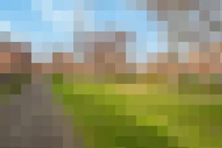 Amberhof 20 Rhoon thumbnail 39