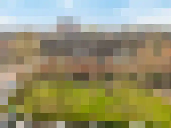Amberhof 20 Rhoon thumbnail 40