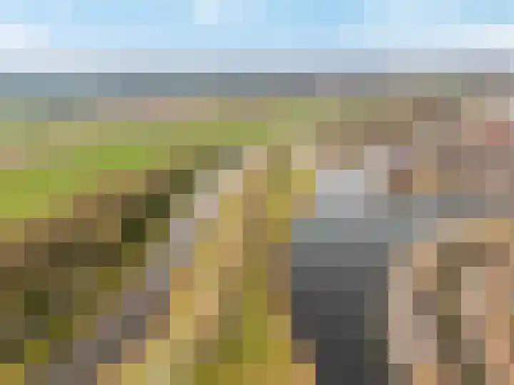 Amberhof 20 Rhoon thumbnail 42